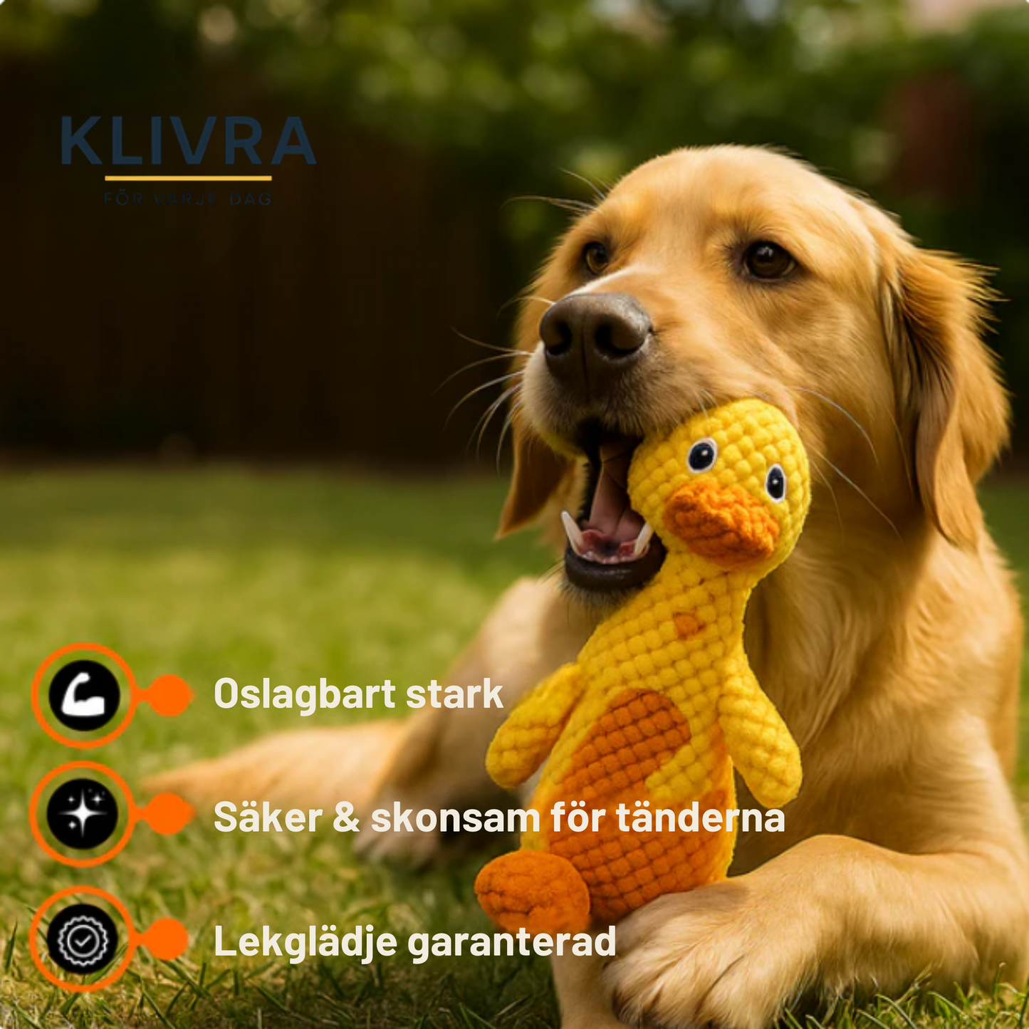 TuggMax™ – Oemotståndligt roligt, nästintill oförstörbart.