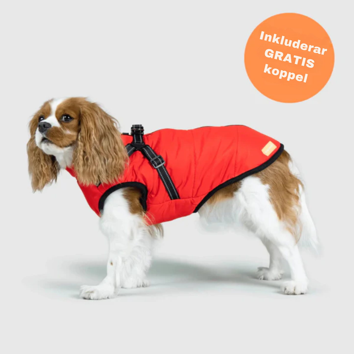 FluffSkydd™ – Bekväm värmejacka för kalla promenader.