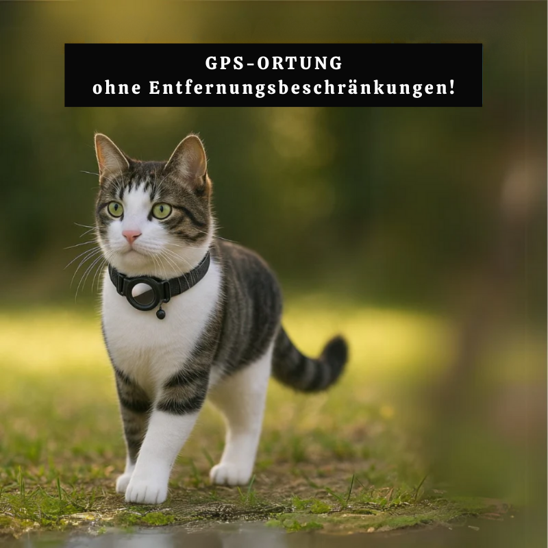 KattSpår™ - Trygghet och säkerhet för din fyrbenta vän varje dag!