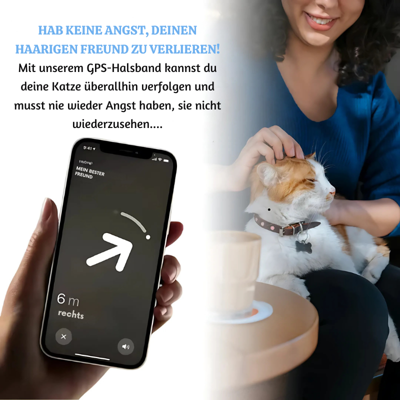 KattSpår™ - Trygghet och säkerhet för din fyrbenta vän varje dag!