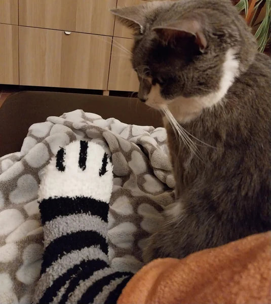 KattStrumpa™ – Söta strumpor för både barn och vuxna