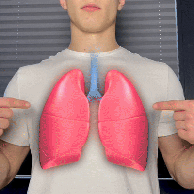 SyreTränare™ – Träna smartare med varje andetag!