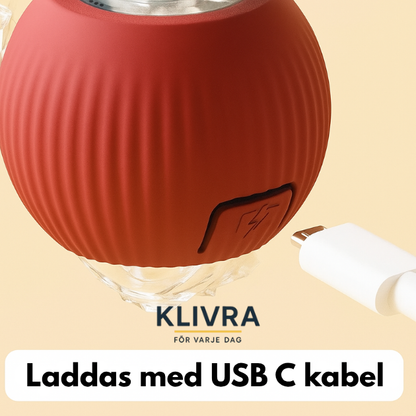 TryggBoll™ – Naturlig lek som lugnar oroliga hundar