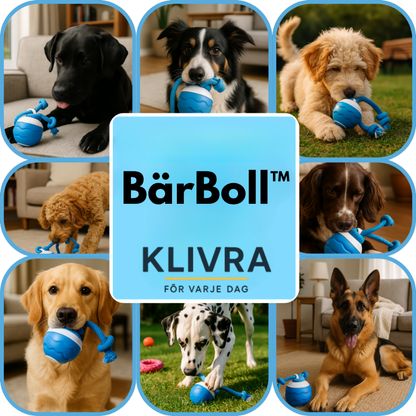 BärBoll™ – Studsar, piper och aktiverar din hund i timmar