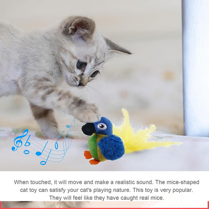 PipVän™ – Få din katt att leka, jaga och ha kul i timmar