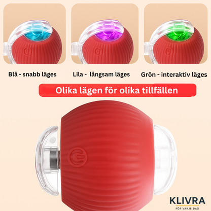 TryggBoll™ – Naturlig lek som lugnar oroliga hundar