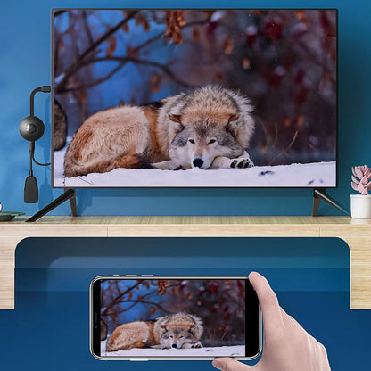 SkärmLänk™ – Koppla in, kasta och njut – utan Wi-Fi eller appar