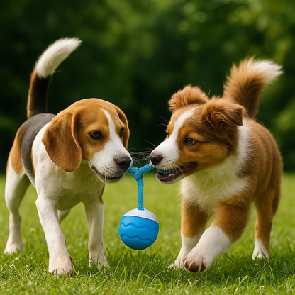 BärBoll™ – Studsar, piper och aktiverar din hund i timmar