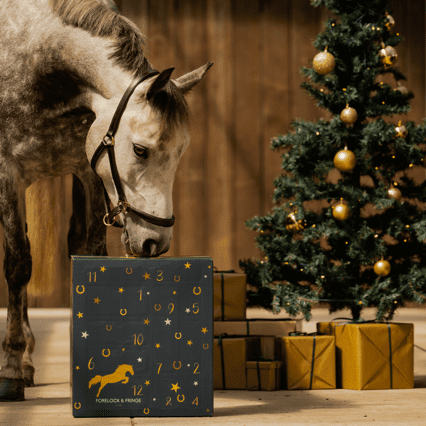 StallMagi™ – Adventskalender 12 lyxiga överraskningar för hästälskare
