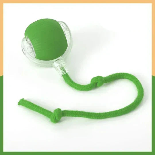 TryggBoll™ – Naturlig lek som lugnar oroliga hundar