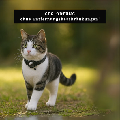KattSpår™ - Trygghet och säkerhet för din fyrbenta vän varje dag!